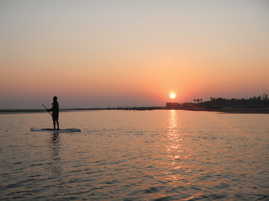 paul hyman active 360