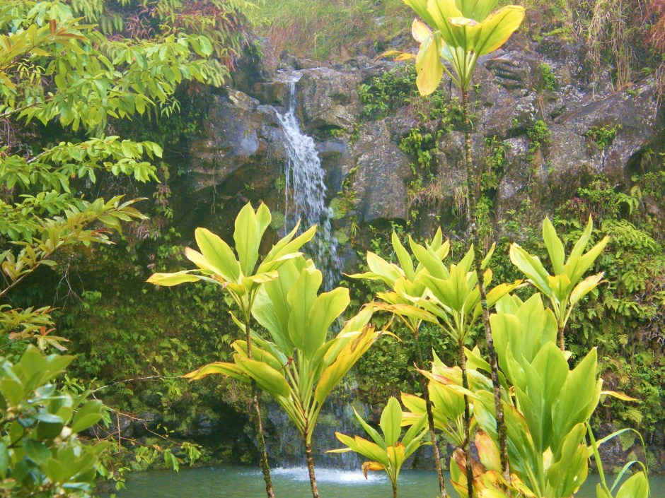 Maui waterfall