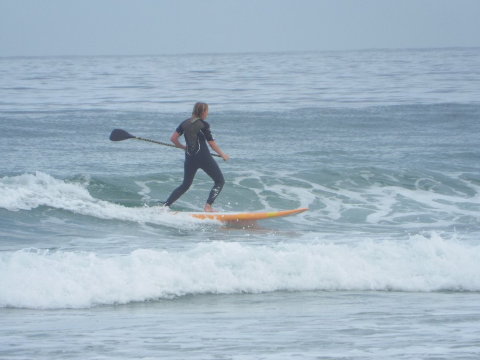 Fi Plavenieks Stubby LTD 8.6ft review