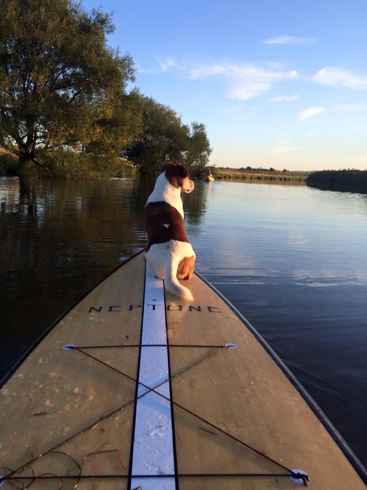 Neptune SUPs and pups