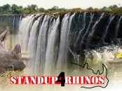 Standing up for rhinos