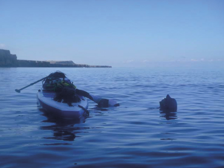 sonja-ezergailis_-cooling-off-d3-_-west-coast-roger-chandler.jpeg---1