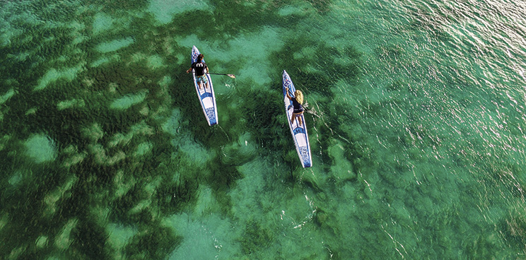 Steve and Mandy West