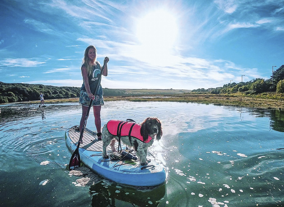 Dogs on Paddleboards