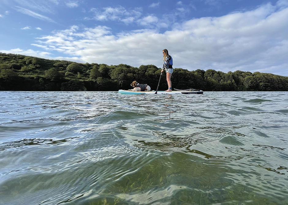 Dogs on Paddleboards
