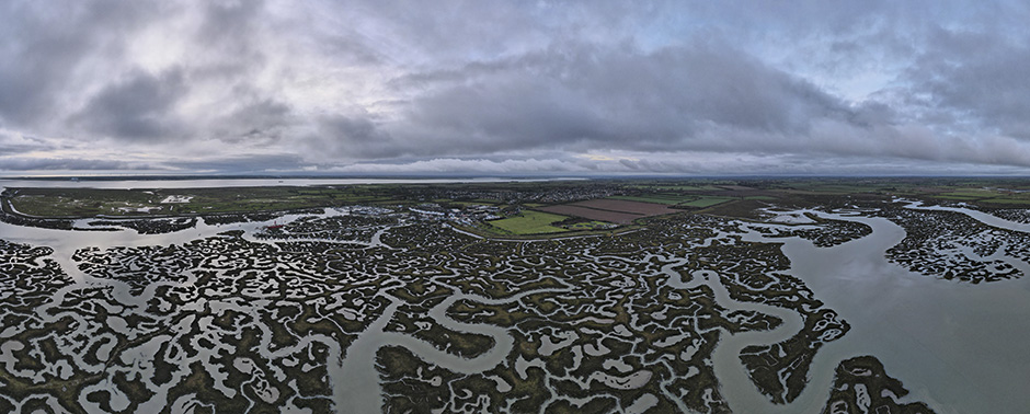 Essex salt marshes Photo: Simon Leggett