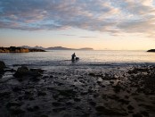 Scotland Ocean Nation