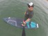 Wave SUPs 11’ x 33” x 6” PRO SUP