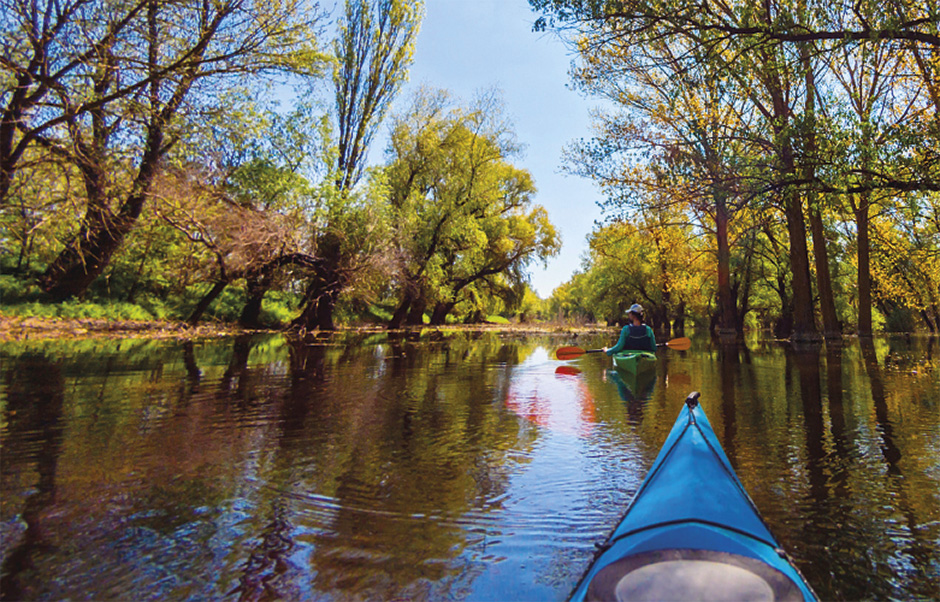 Don’t get sick doing what you love