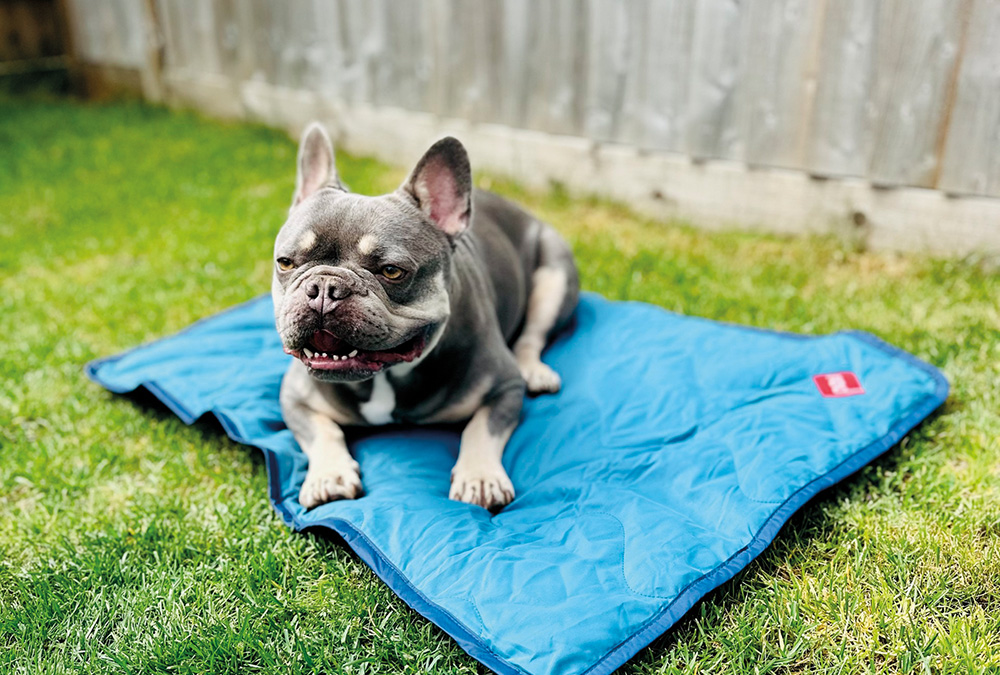 RED Equipment outdoor adventure blanket & sit mat